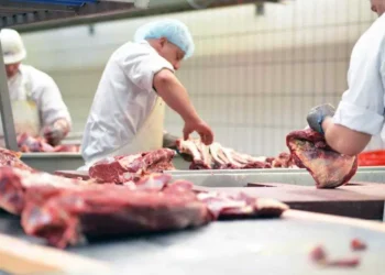 Largest Pork Producer in the U.S. Now Owned by $22 Billion Chinese Meat Processing Company
