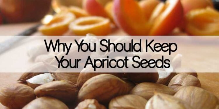 Why You Should Keep Your Apricot Seeds