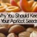 Why You Should Keep Your Apricot Seeds