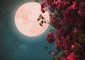 Full Moon will change colour for billions today – here’s when to see it
