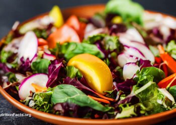 The Roles Diet and Exercise Play in the Obesity Epidemic 