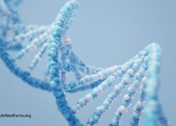 What Is the Role of Our Genes in the Obesity Epidemic? 