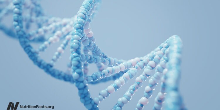 What Is the Role of Our Genes in the Obesity Epidemic? 