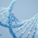 What Is the Role of Our Genes in the Obesity Epidemic? 