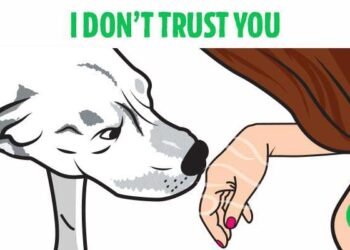 Science Confirms That Dogs Can Recognize a Bad Person. I Feel Like I Have Always Known This.