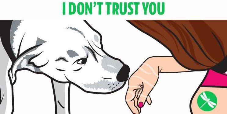Science Confirms That Dogs Can Recognize a Bad Person. I Feel Like I Have Always Known This.