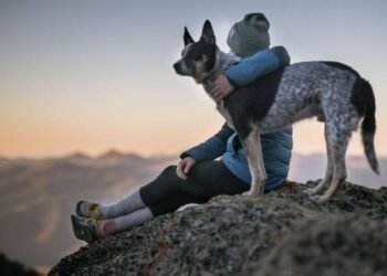 10 Signs That You May Have the Lone Wolf Personality