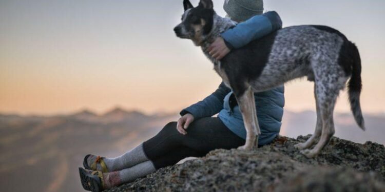 10 Signs That You May Have the Lone Wolf Personality