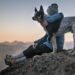 10 Signs That You May Have the Lone Wolf Personality