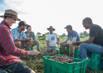 Growing for the Future: Rodale Institute’s Vision for Sustainable Agriculture