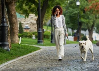 Why Walking Works: Small Steps to BIG Changes