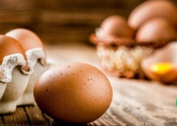 A Pennsylvania Egg Farmer Considered Killing Half His Flock Until A Woman On Facebook Devised A Plan To Save Them