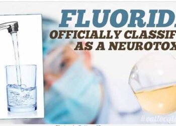 Fluoride Officially Classified As A Neurotoxin In World’s Most Prestigious Medical Journal