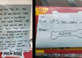 UPS Driver Finds Devastating Note Waiting From Dog He Visited on His Route for Years