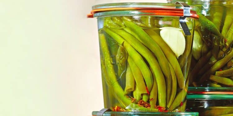 Spicy Pickled Green Beans Recipe
