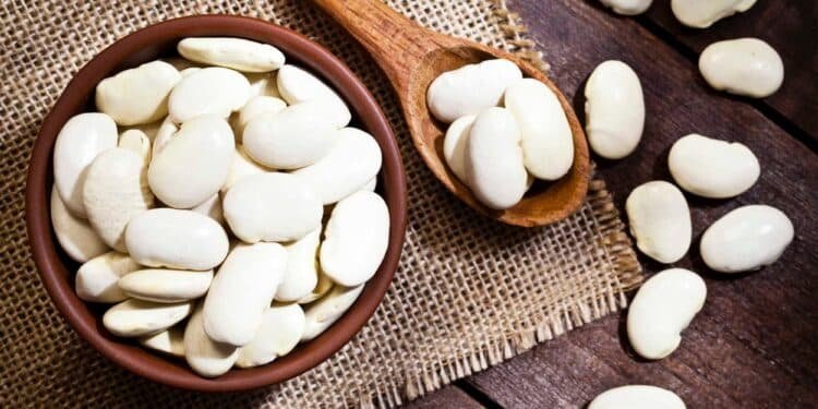 Everything You Need to Know About Lima Beans (aka Butter Beans)