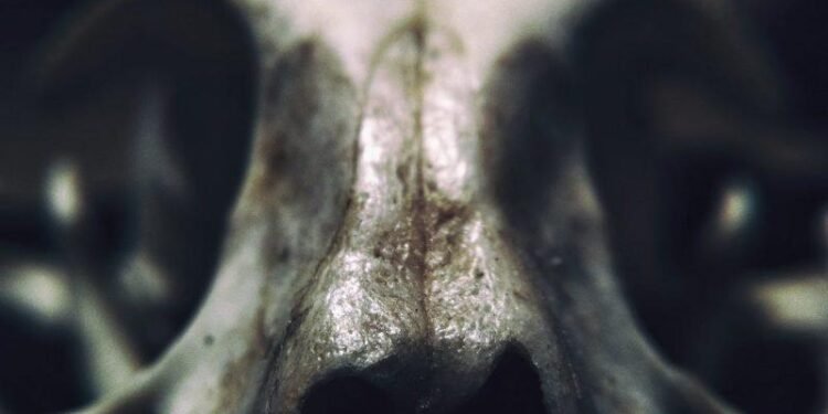 The Body Knows When Death Is Coming, And It Starts in Your Nose