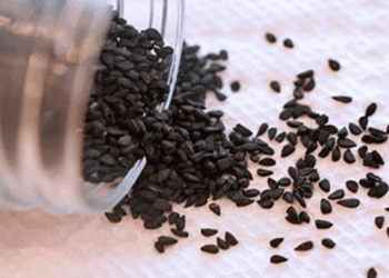 Black Seed The Remedy For Everything But Death?