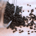 Black Seed The Remedy For Everything But Death?