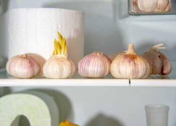 Put a Clove of Garlic in the Toilet Before Going to Bed, You Will Not Regret It