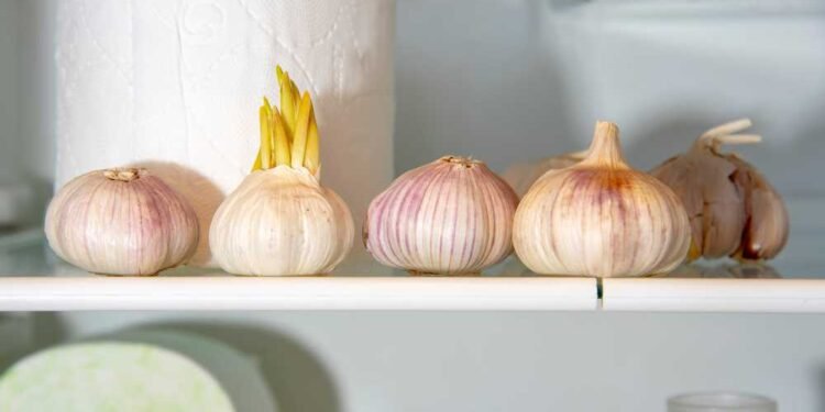 Put a Clove of Garlic in the Toilet Before Going to Bed, You Will Not Regret It