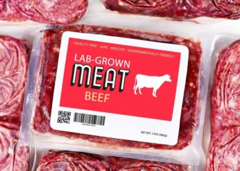 Bill Gates Has Teamed Up With A Fellow, Well Named Billionaire, In Hopes of Ending the Meat Industry