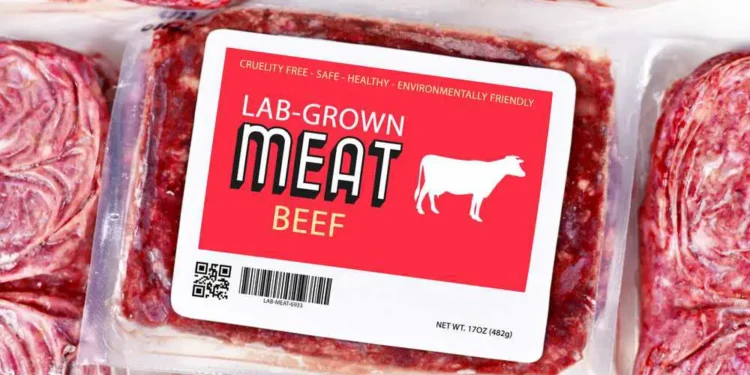 Bill Gates Has Teamed Up With A Fellow, Well Named Billionaire, In Hopes of Ending the Meat Industry