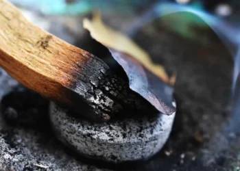 These Things Happen When You Burn a Bay Leaf at Home Every Night