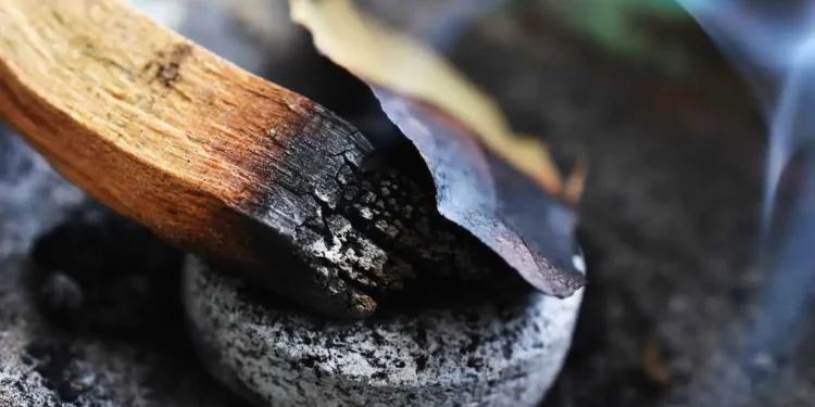 These Things Happen When You Burn a Bay Leaf at Home Every Night