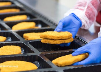 Processed Foods and Obesity 