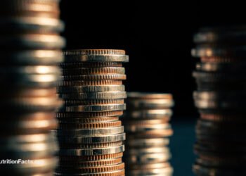 Do Taxpayer Subsidies Play a Role in the Obesity Epidemic? 