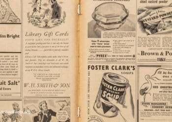 Are Food Ads Making Us Obese? 