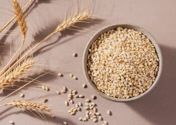 Rediscover Barley, an Ultra-Versatile Ancient Grain