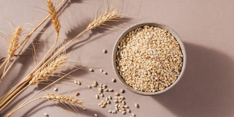 Rediscover Barley, an Ultra-Versatile Ancient Grain