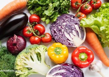 The Stroke Risk of Vegetarians 
