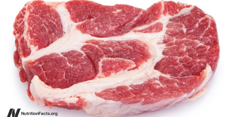What About Saturated Fat and Vegetarians’ Stroke Risk? 