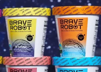 A Critical Look at Brave Robot’s Approach
