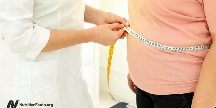 An Ideal Waist Size 