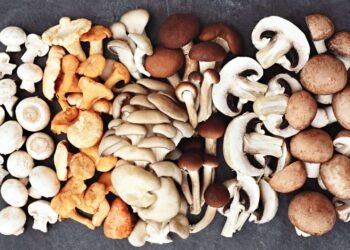 The Overlooked Superfood for Muscle Growth and Longevity