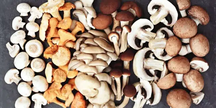 The Overlooked Superfood for Muscle Growth and Longevity