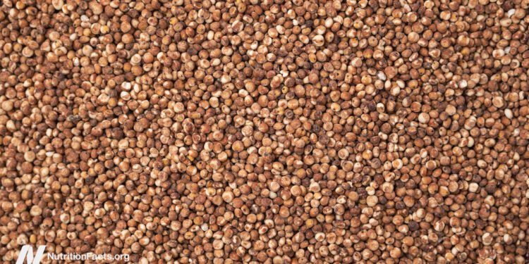 Is Sorghum a Healthy Grain? 