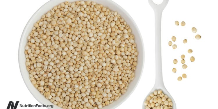 Why Is Sorghum One of My New Favorite Grains? 