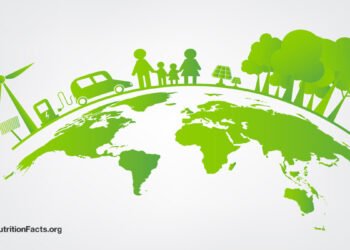 What Are the Environmental Impacts of Plant-Based Meats? 