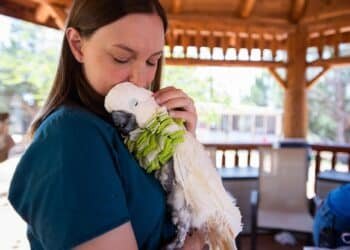 6 Vegan-Friendly Mother’s Day Experiences She’ll Truly Love