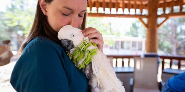 6 Vegan-Friendly Mother’s Day Experiences She’ll Truly Love