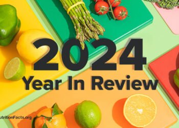 2024 Year in Review