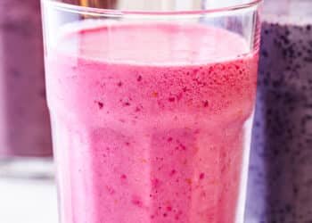 2 ingredient smoothie – Lazy Cat Kitchen