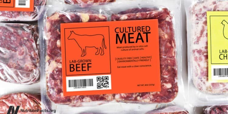 Food Safety and Cultivated Meat 