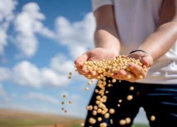Affordable Organic Groceries? Azure Standard’s Drop System Makes It Possible