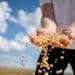 Affordable Organic Groceries? Azure Standard’s Drop System Makes It Possible